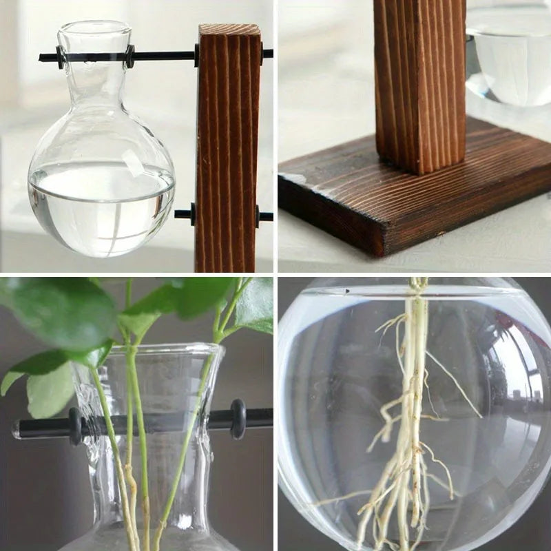 Hydroponic Glass Vase