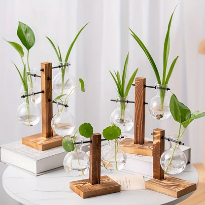 Hydroponic Glass Vase